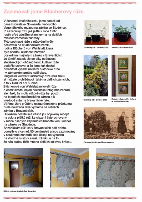 Zazimovali jsme Blücherovy růže