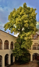 Zámek Frýdek-Místek - Muzeum Beskyd