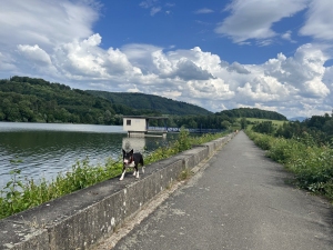 Větřkovická přehrada