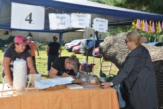 Bravantický GULÁŠFEST