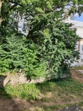 6. brigáda na zámku