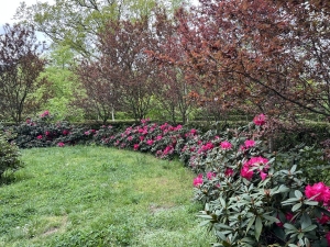 Ratiboř (Raciborz) - Arboretum Moravské brány a minizoo