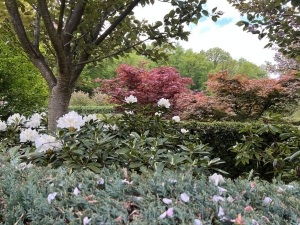 Ratiboř (Raciborz) - Arboretum Moravské brány a minizoo