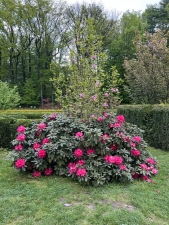 Ratiboř (Raciborz) - Arboretum Moravské brány a minizoo