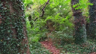8. brigáda na zámku
