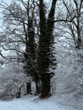 Pouť ke cti svatého Valentina