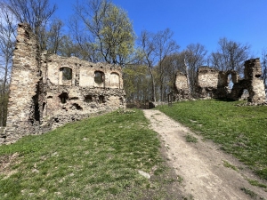Zřícenina hradu VIKŠTEJN
