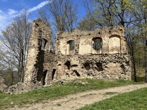 Zřícenina hradu VIKŠTEJN