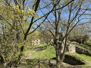 Zřícenina hradu VIKŠTEJN