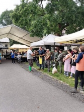 Bravantický GULÁŠFEST
