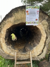 Bravantický adventní jarmark