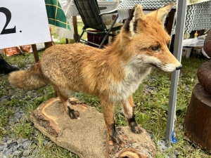 Bravantický Gulášfest