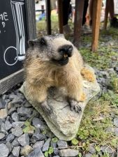 Bravantický Gulášfest