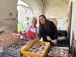 Bravantický Gulášfest