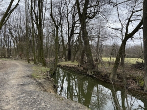Národní přírodní rezervace Polanská Niva