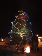 Rozsvícení vánočního stromu na nádvoří zámku