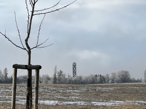 Rozhledna Halaška - Budišov nad Budišovkou