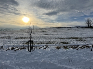 Rozhledna Halaška - Budišov nad Budišovkou