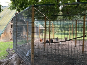 Zámek Fryštát a Zookoutek v parku Boženy Němcové