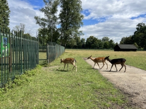 Zámek Fryštát a Zookoutek v parku Boženy Němcové