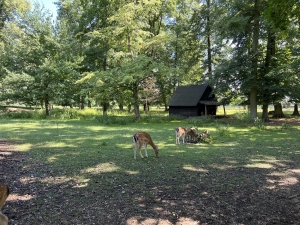 Zámek Fryštát a Zookoutek v parku Boženy Němcové