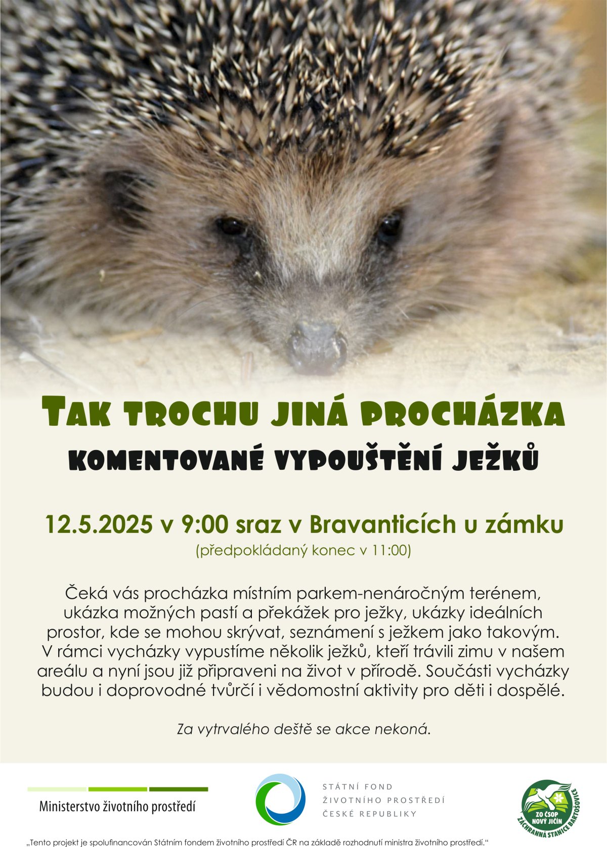 Komentované vypouštění ježků